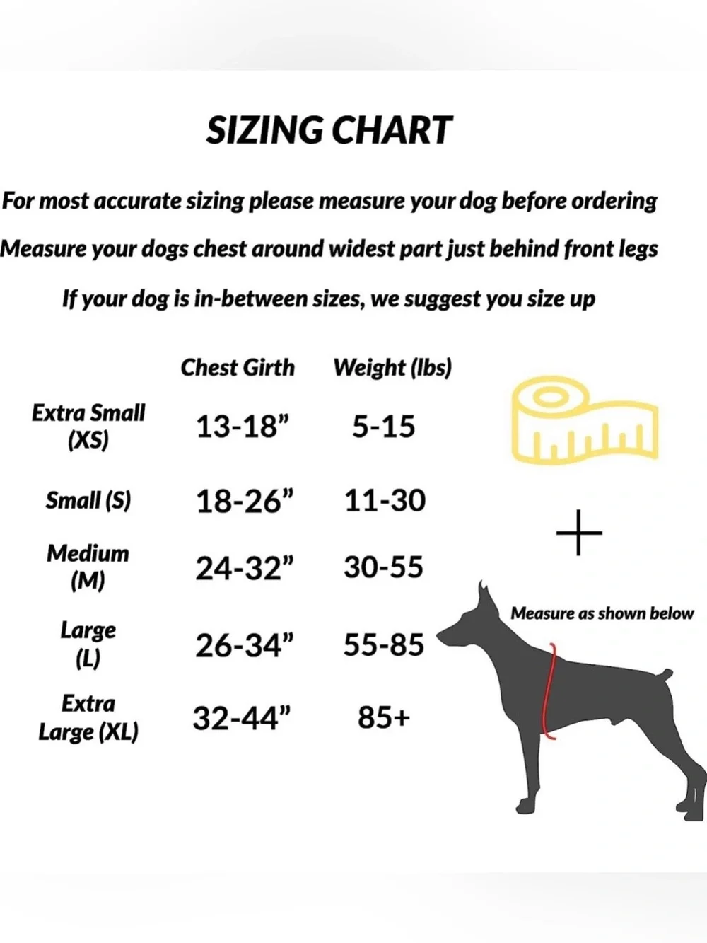 ShawnCo Essential Dog Harness, No-Pull Pet Vest with 3 Leash Clips, No Choke